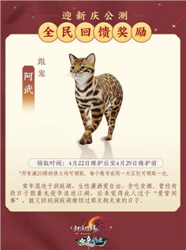 侦探天龙八部私服